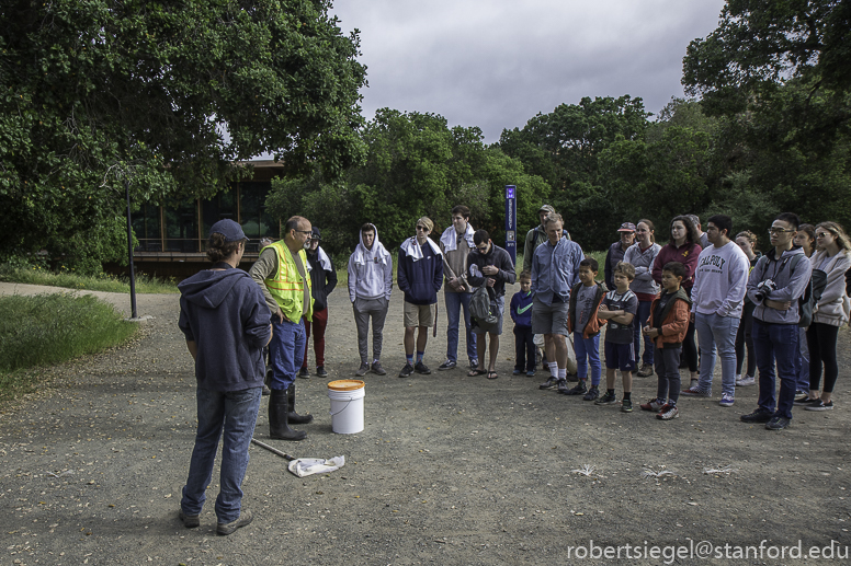 stanford bioblitz2019